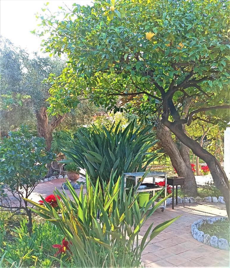 Seafront Apartments Garden House Taormina Exterior photo
